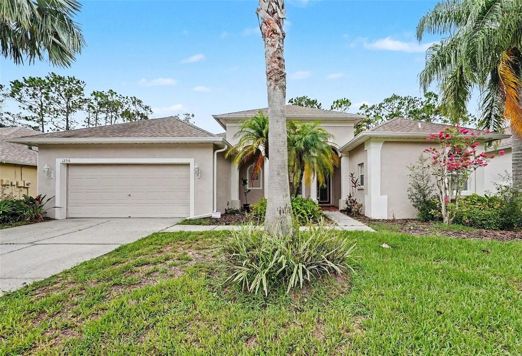 Image 28 of property listing at 12516 LEATHERLEAF DRIVE, Tampa, FL 33626