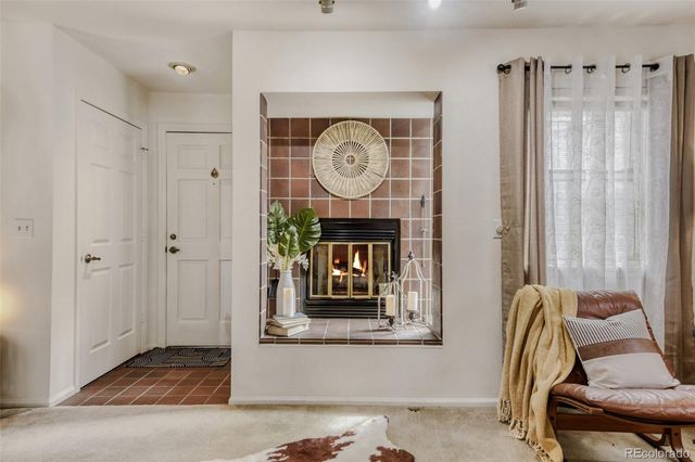 101 S Downing Street 8, Denver, CO 80209