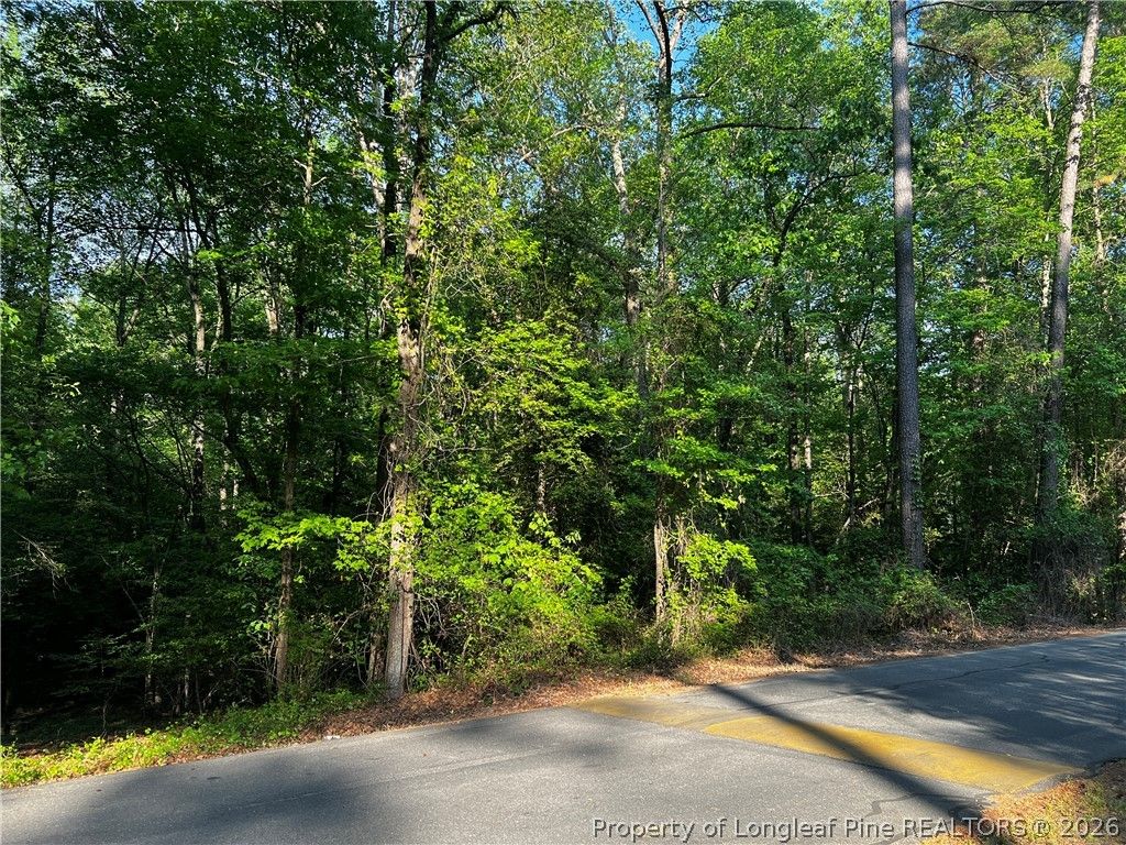 1011 Windrace Trail, Sanford, NC 27330 — photo 2