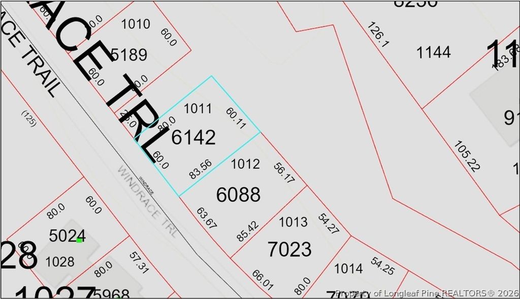 1011 Windrace Trail, Sanford, NC 27330 — photo 3