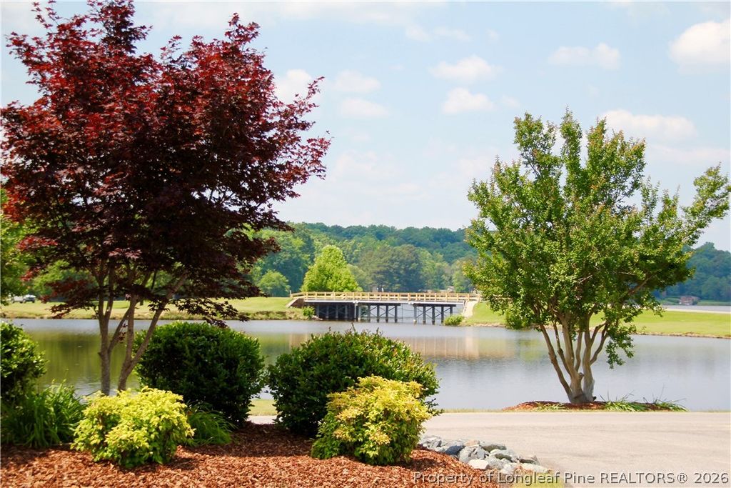 1011 Windrace Trail, Sanford, NC 27330 — photo 9