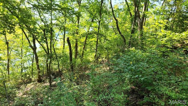 1828 Lionheart Court, Marthasville, MO 63357