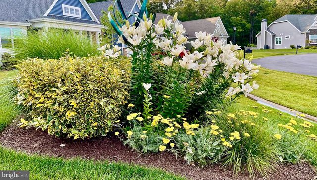 29606 PATRICK HENRY CIR, Millsboro, DE 19966