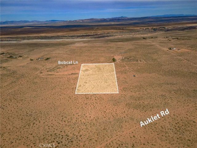 123 Bobcat Lane, Newberry Springs, CA 92365