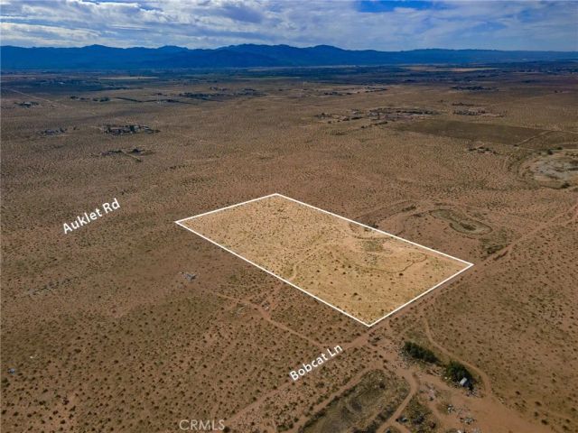 123 Bobcat Lane, Newberry Springs, CA 92365