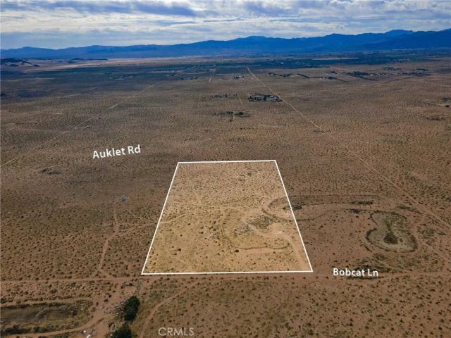 123 Bobcat Lane, Newberry Springs, CA 92365
