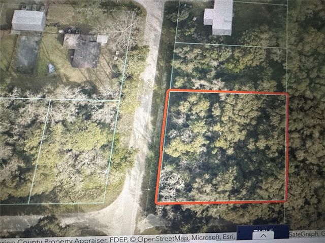 TBD SE 44TH AVENUE, Summerfield, FL 34491
