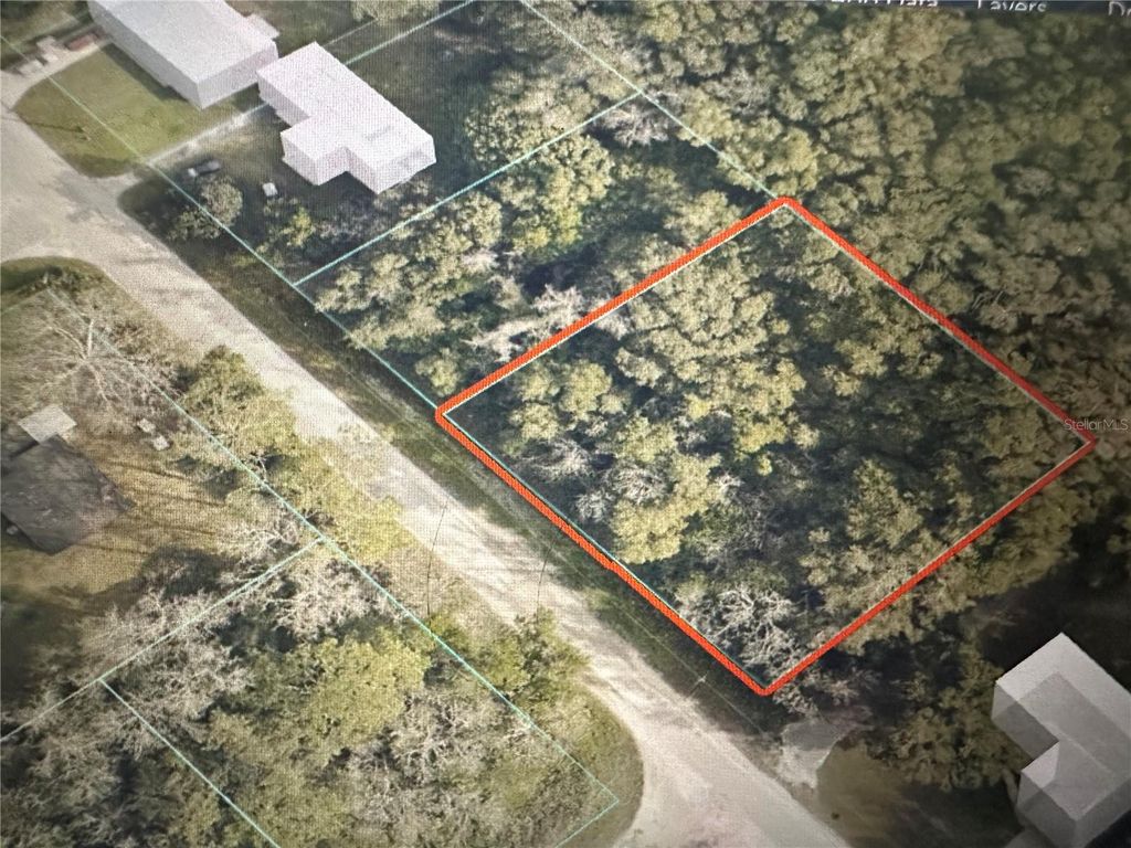 TBD SE 44TH AVENUE, Summerfield, FL 34491