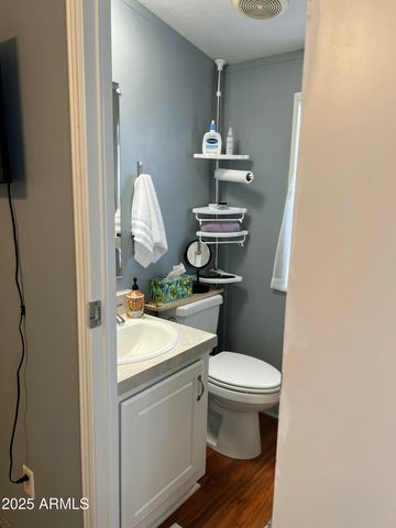 220 S HOUSTON CREEK Circle, Payson, AZ 85541