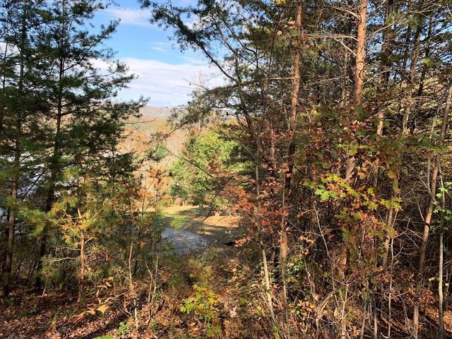 25&26 Mountain Knoll Lane, Warne, NC 28909