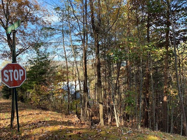 25&26 Mountain Knoll Lane, Warne, NC 28909