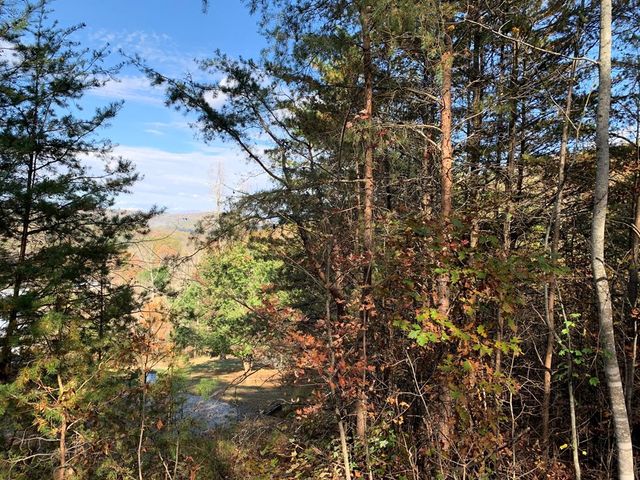 25&26 Mountain Knoll Lane, Warne, NC 28909