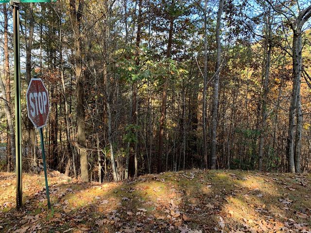 25&26 Mountain Knoll Lane, Warne, NC 28909