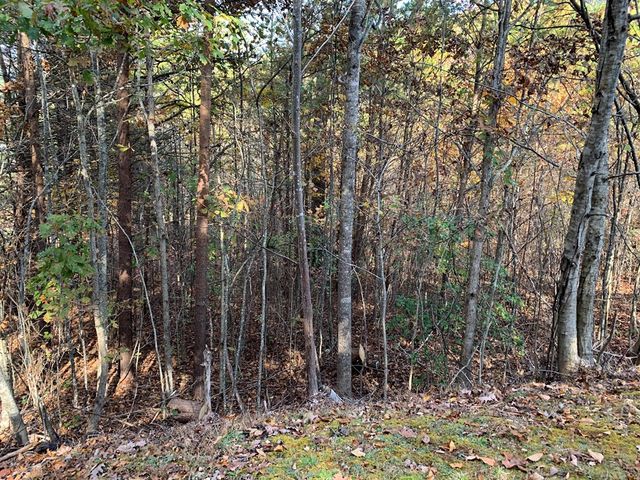 25&26 Mountain Knoll Lane, Warne, NC 28909