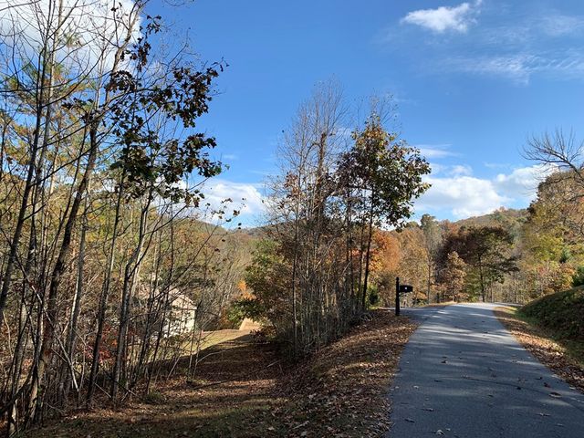 25&26 Mountain Knoll Lane, Warne, NC 28909