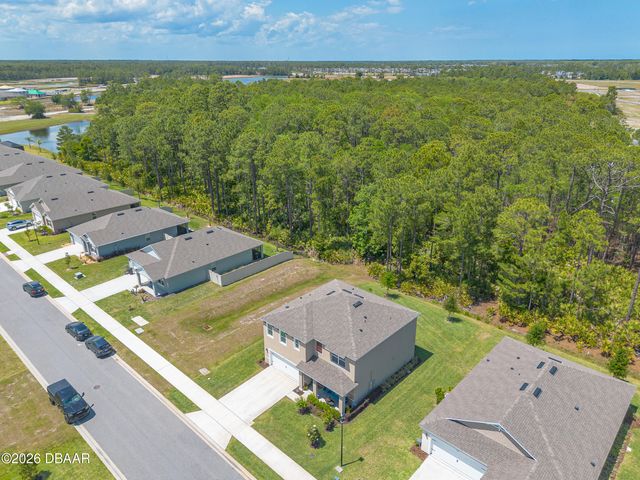 1333 Morning Walk Drive, Ormond Beach, FL 32174