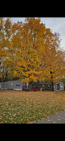 10281 Walnut Drive, Three Rivers, MI 49093