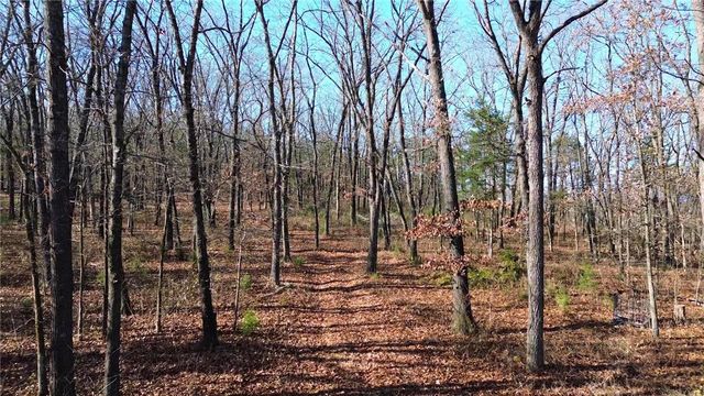 13.75 acres CR 217, Berryville, AR 72616