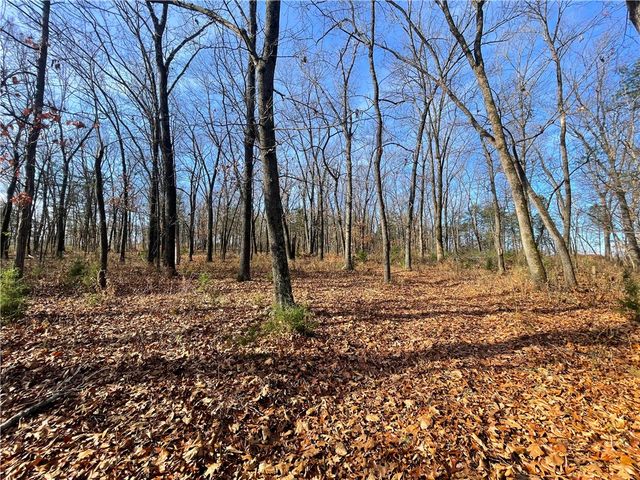 13.75 acres CR 217, Berryville, AR 72616