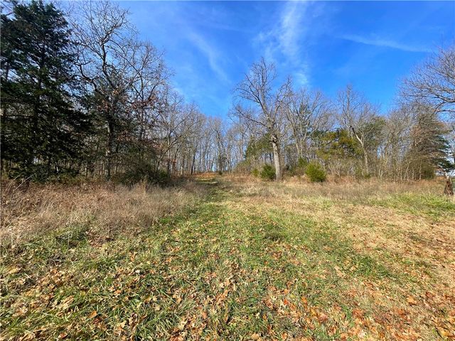 13.75 acres CR 217, Berryville, AR 72616