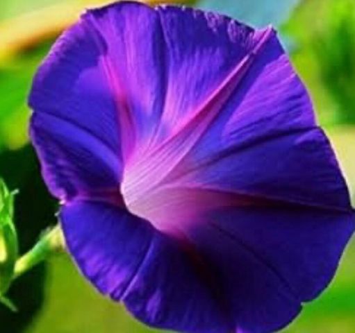 4890 Weyerhaeuser Road, Klamath Falls, OR 97601