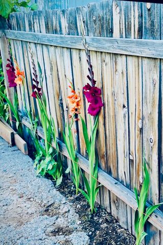 4890 Weyerhaeuser Road, Klamath Falls, OR 97601