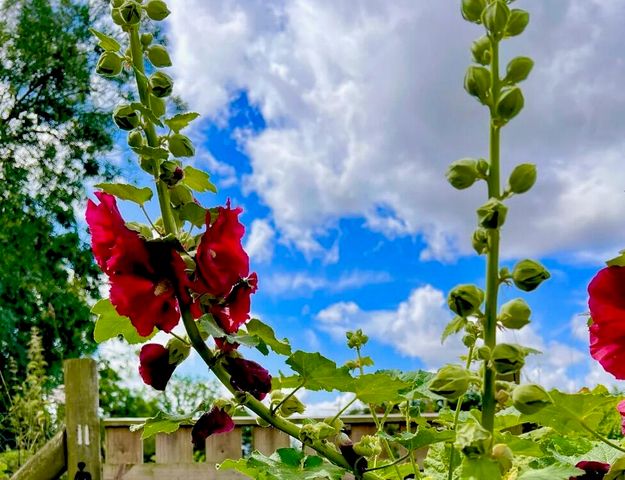 4890 Weyerhaeuser Road, Klamath Falls, OR 97601