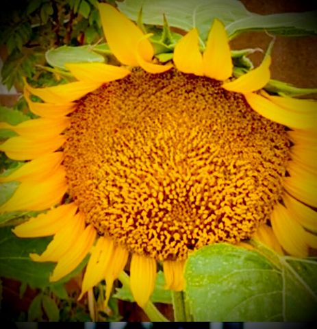 4890 Weyerhaeuser Road, Klamath Falls, OR 97601