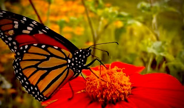 4890 Weyerhaeuser Road, Klamath Falls, OR 97601