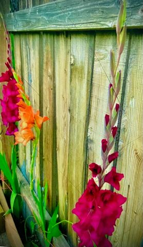 4890 Weyerhaeuser Road, Klamath Falls, OR 97601