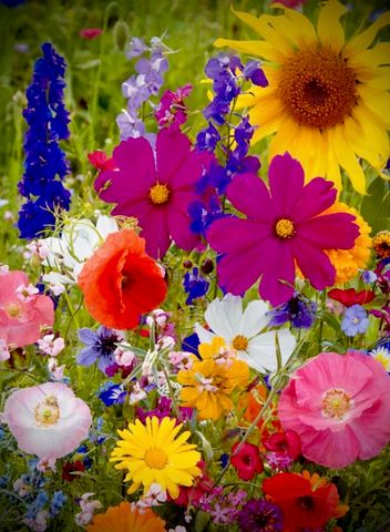 4890 Weyerhaeuser Road, Klamath Falls, OR 97601