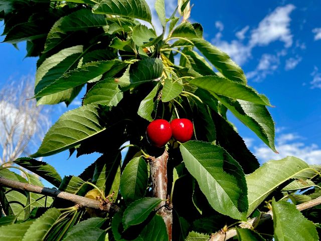 4890 Weyerhaeuser Road, Klamath Falls, OR 97601