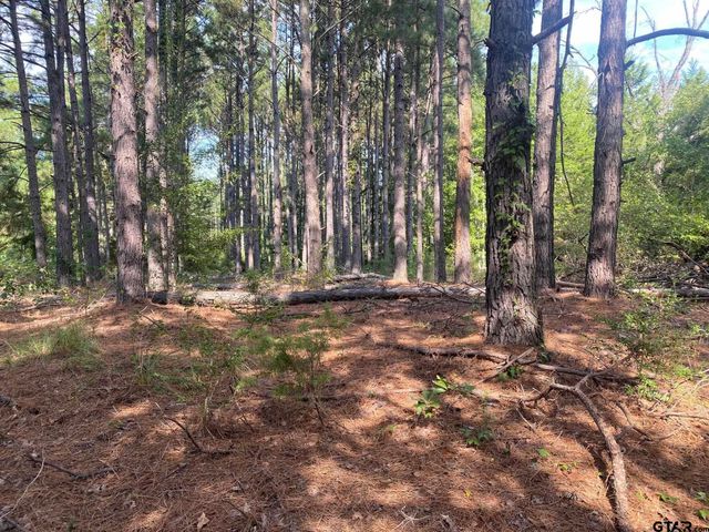 14466 County Road 393, Tyler, TX 75708
