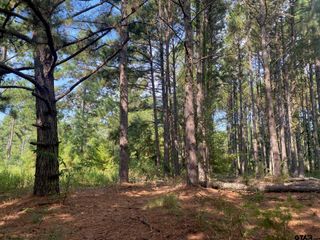 14466 County Road 393, Tyler, TX 75708