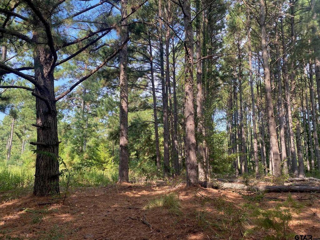 14466 County Road 393, Tyler, TX 75708