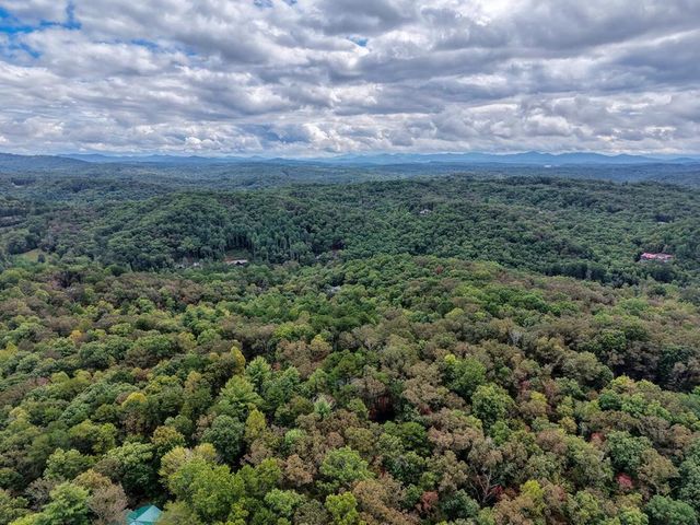 29 Jordan Drive, Blue Ridge, GA 30513