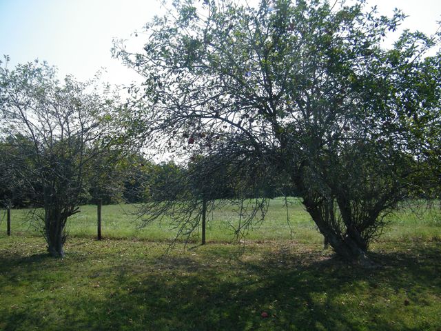 4448 Akersville Rd, Lafayette, TN 37083