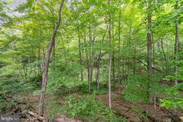 0 DRESSLER RIDGE, Mount Pleasant Mills, PA 17853