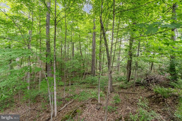 0 DRESSLER RIDGE, Mount Pleasant Mills, PA 17853