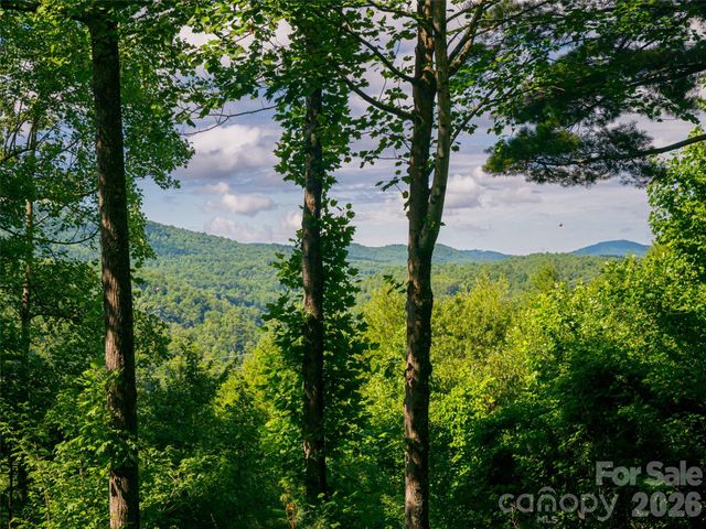 935 Whites Lake Boulevard, Saluda, NC 28773