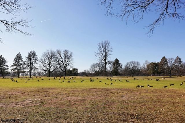 154 Dayton St, Newark City, NJ 07114