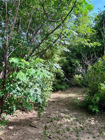 3217 Upas Lane, Mcallen, TX 78501