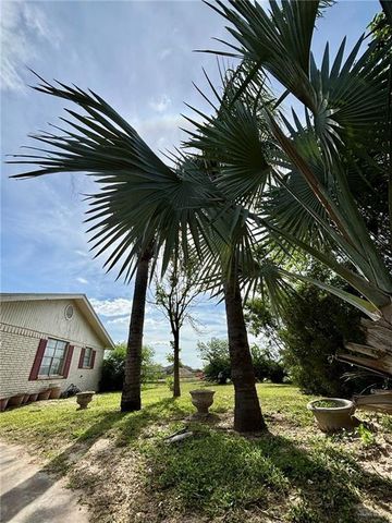 3217 Upas Lane, Mcallen, TX 78501