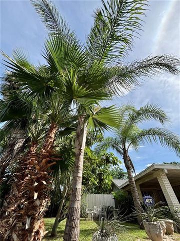 3217 Upas Lane, Mcallen, TX 78501