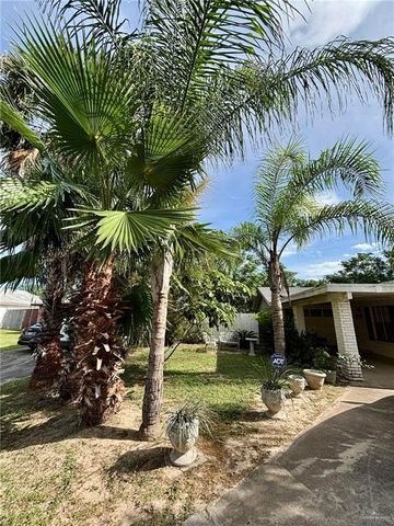 3217 Upas Lane, Mcallen, TX 78501