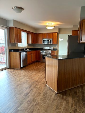 1667 Hinterlong Lane, Naperville, IL 60563