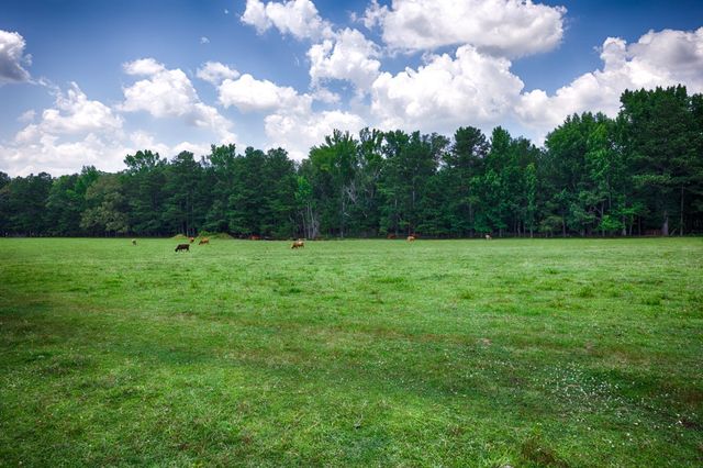 27709 Michael Ln, Toney, AL 35773
