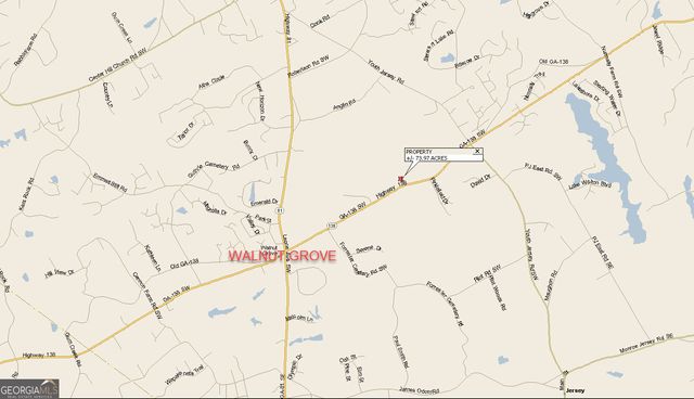 3905 Georgia Highway 138, Covington, GA 30014