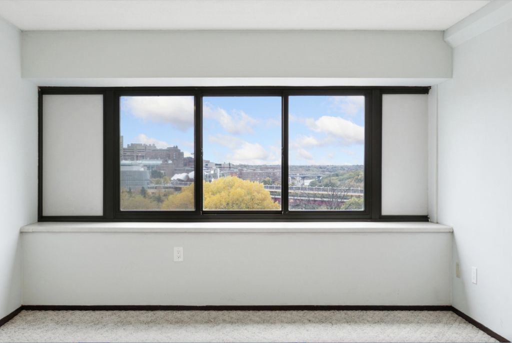 1920 S 1st Street 707, Minneapolis, MN 55454