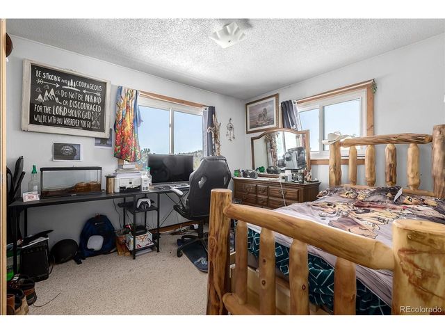 201 Lake Dr, Florissant, CO 80816